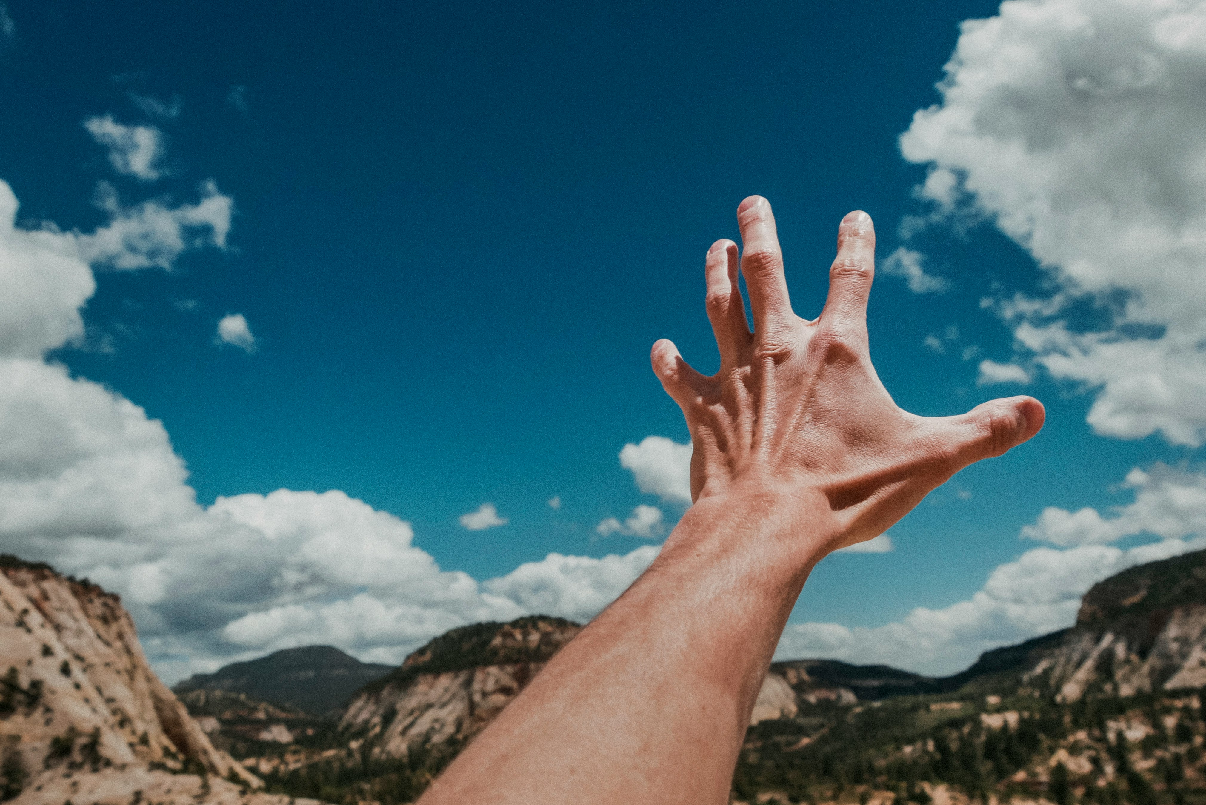 photo of left human hand reaching sky